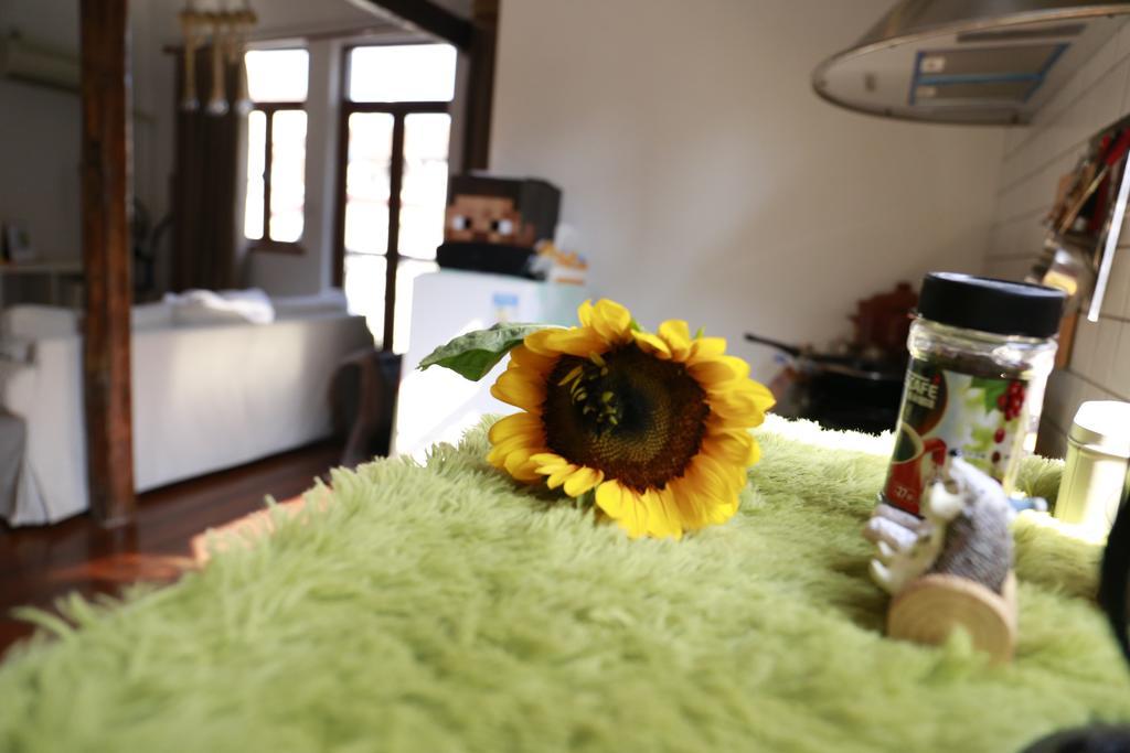 Julu Road Loft Homestay Shanghai